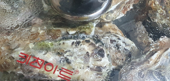 냄비에서 쪄지고 있는 굴 석화찜