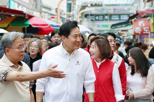 오세훈 농지 전수조사 비판 왜 나왔나｜&lsquo;실경작 집착&rsquo; 발언&middot;고령농&middot;상속농지 정부 설명 총정리