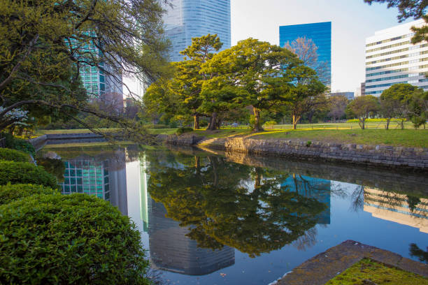 The Top 6 Wonder Locations&#44; Tokyo&#39;s Autumn Leaf Viewing