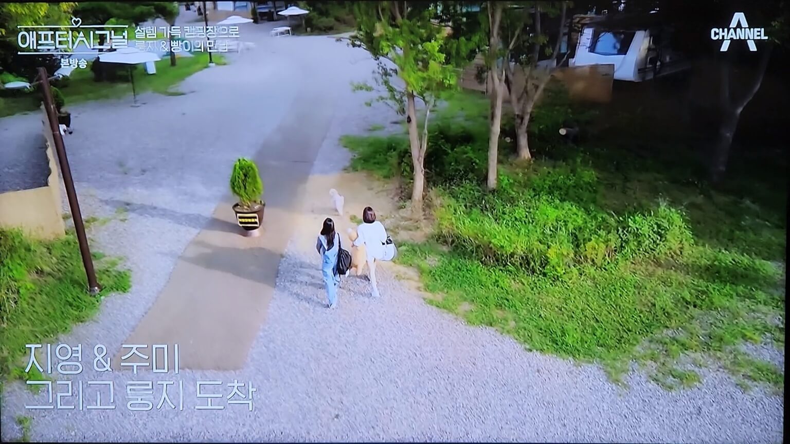 지영주미