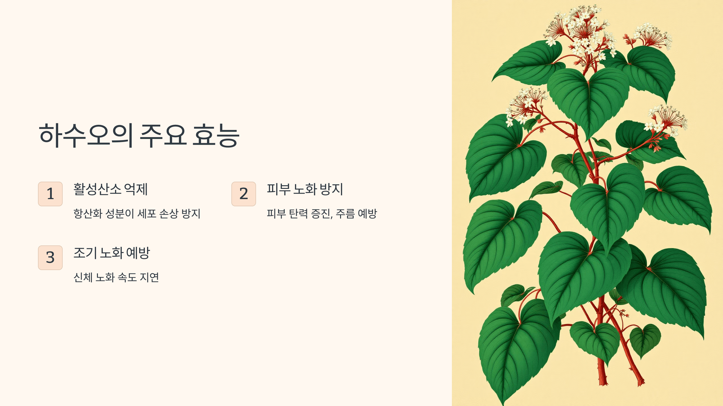 하수오 사진입니다.