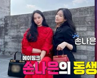 손나은 동생 손새은