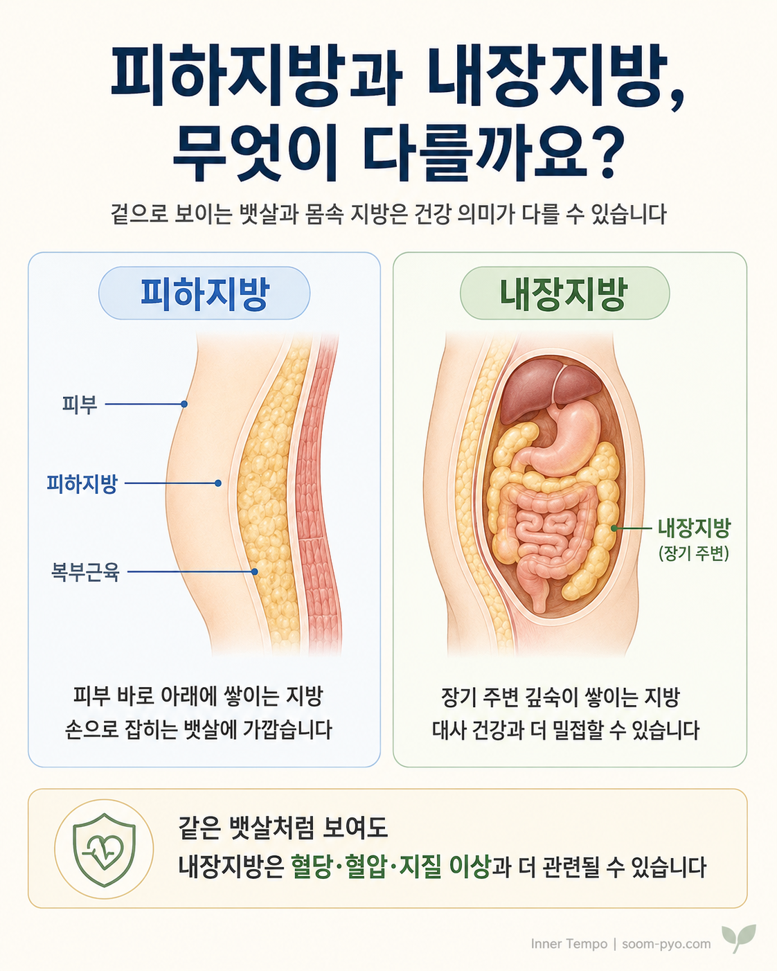 피하지방 vs 내장지방 비교