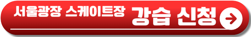 서울광장 스케이트장