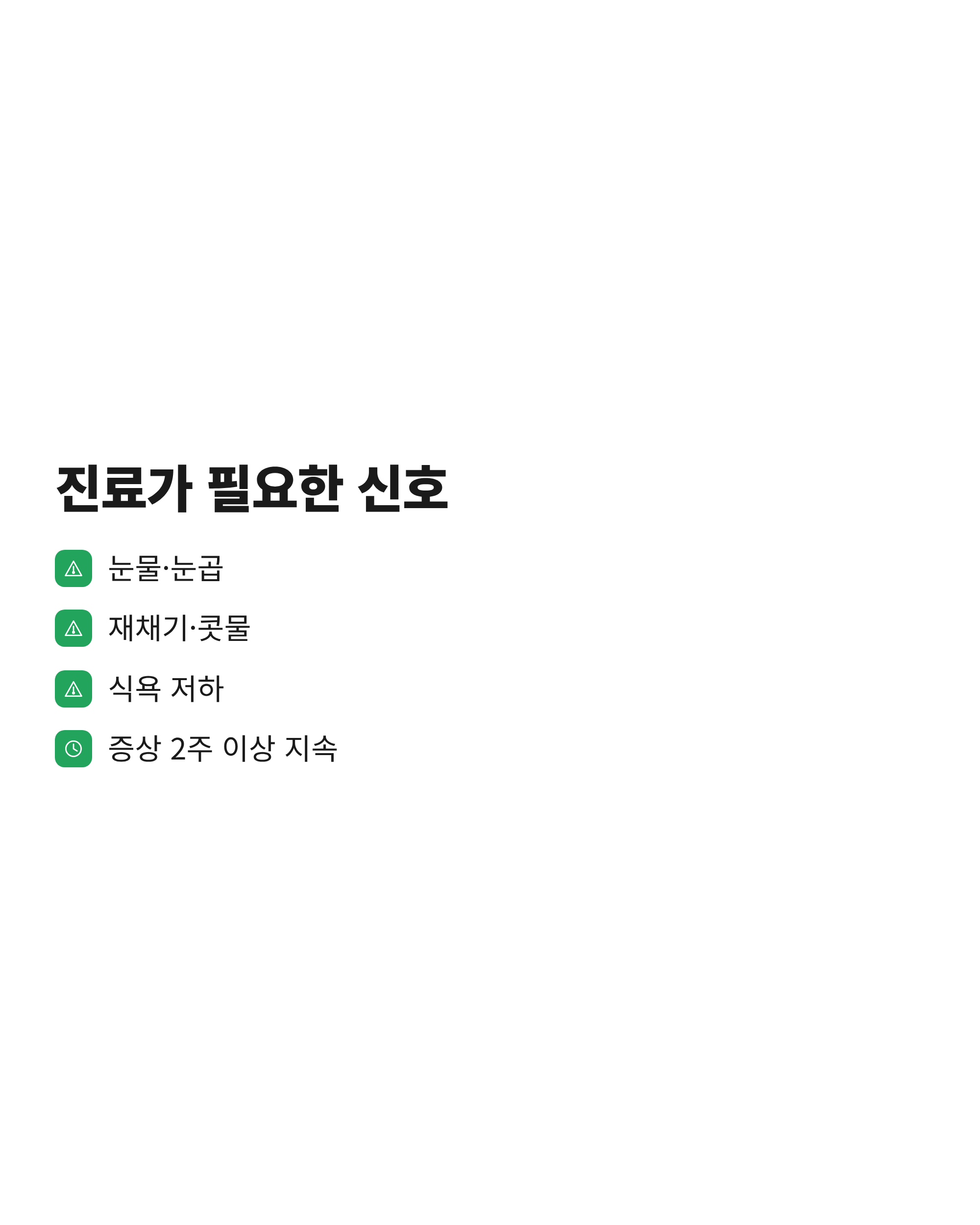 고양이 감기 증상 중 동물병원 진료가 필요한 신호를 정리한 체크리스트