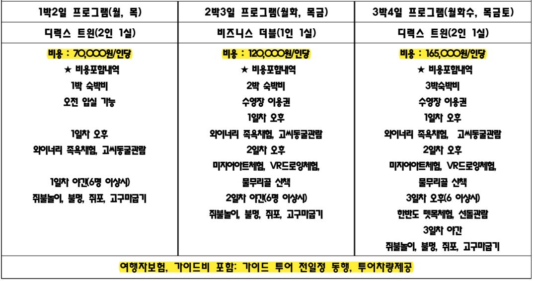 영월 워케이션 신청