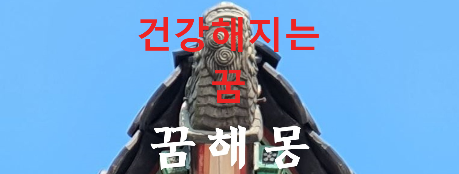 꿈해몽