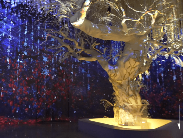 녹테마레 미디어아트 시간의 정원