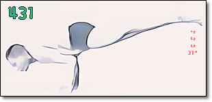 소소한요가 클래스