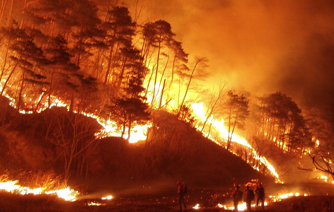 산불화재 법적책임 형사 및 민사 피해보상 및 미성년자 손해배상
