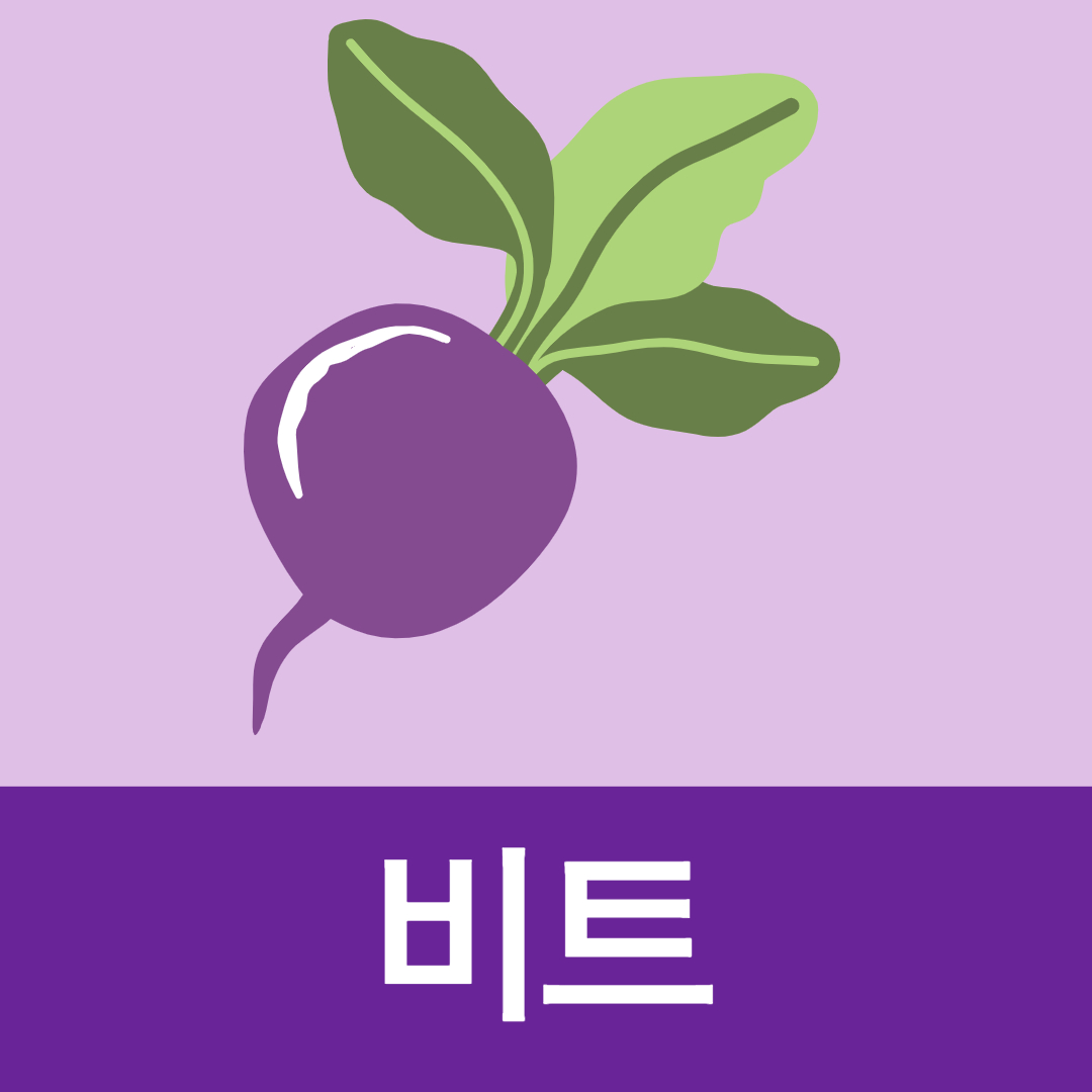 비트 효능 부작용 beet