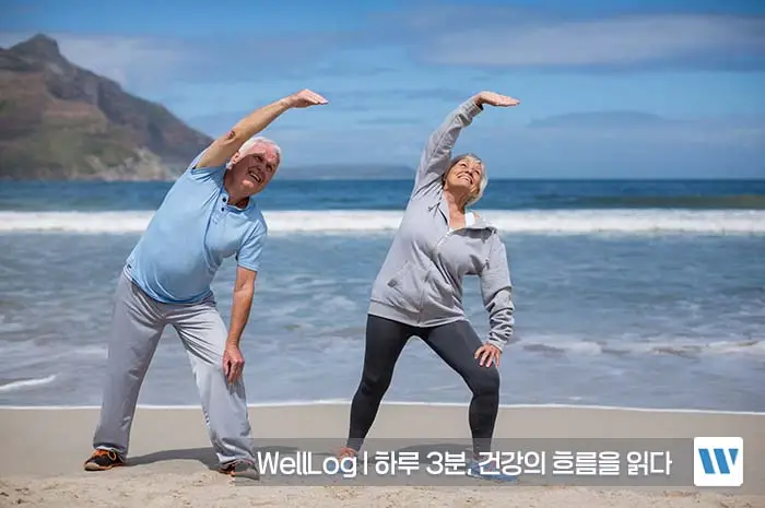 콘드로이친 효능, 복용법, 주의사항