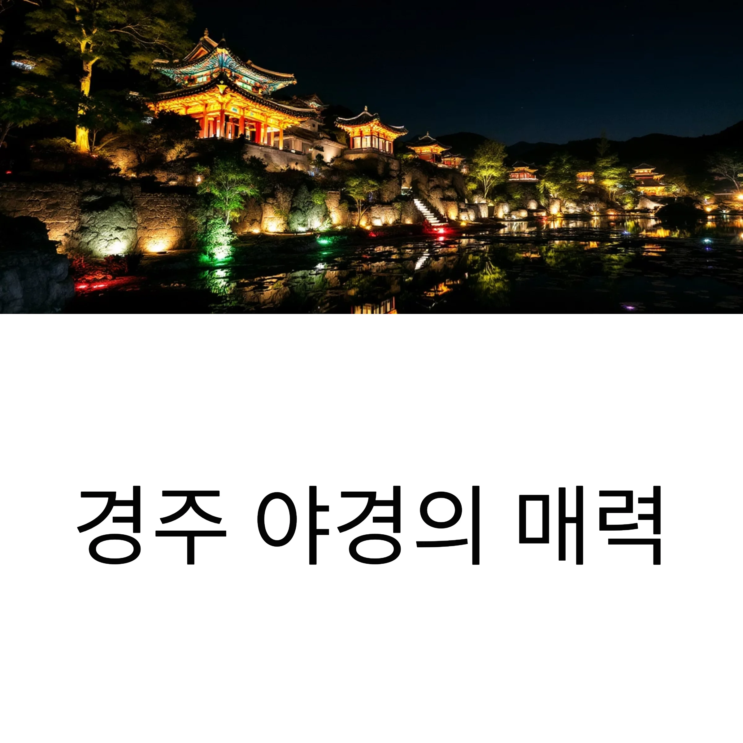 경주 야경 명소 총정리