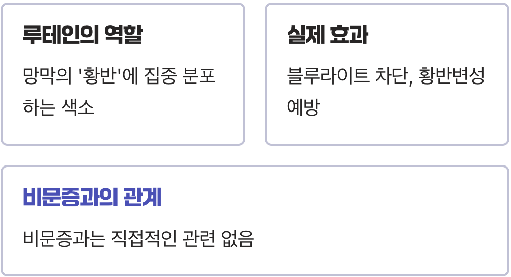 루테인, 비문증에 정말 효과가 있을까?