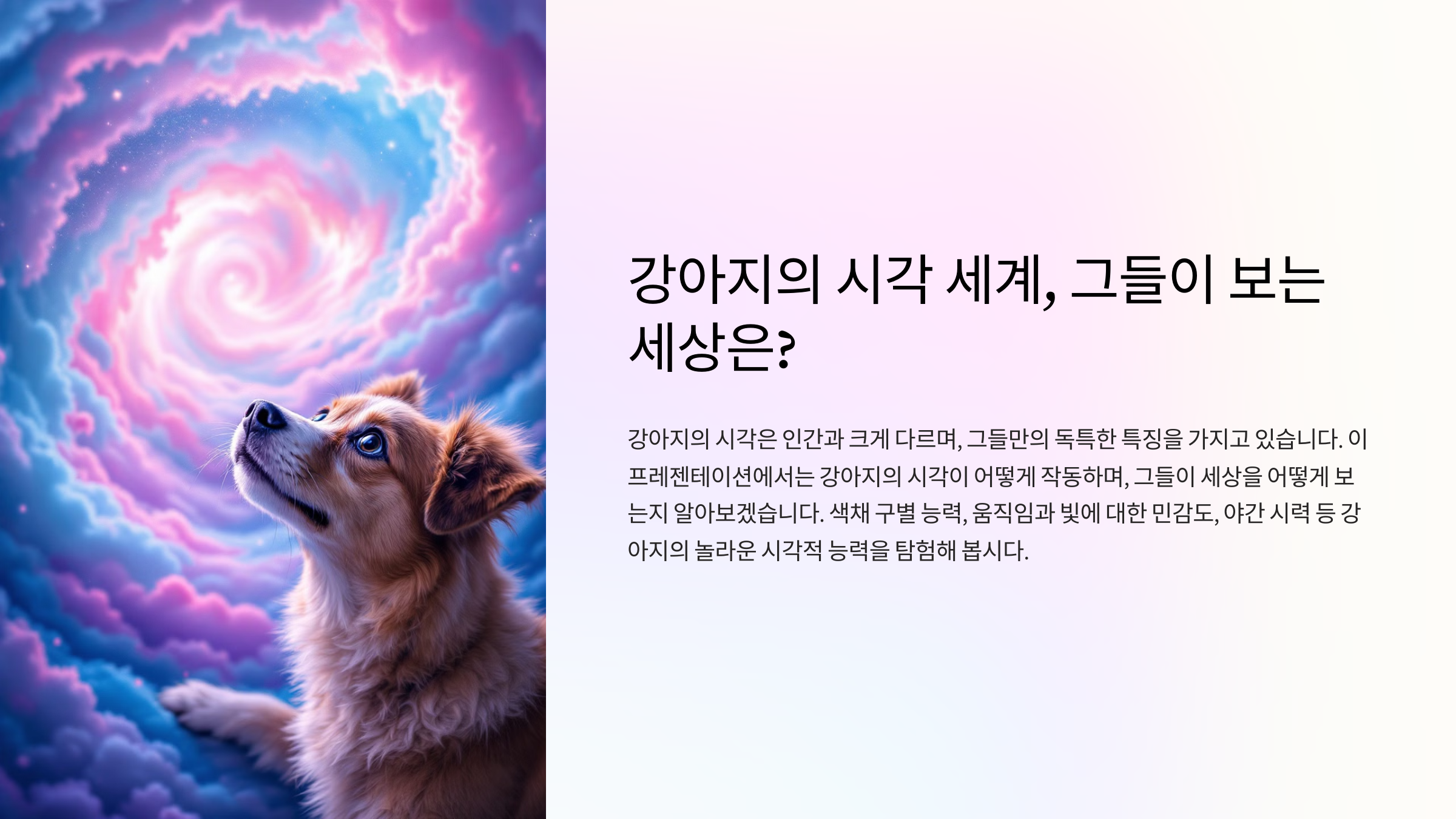 강아지의 시각 세계, 그들이 보는 세상은?