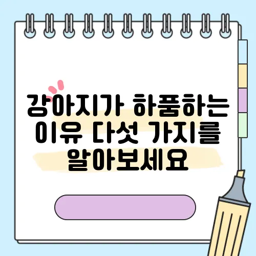 강아지가 하품하는 이유 다섯 가지를 알아보세요