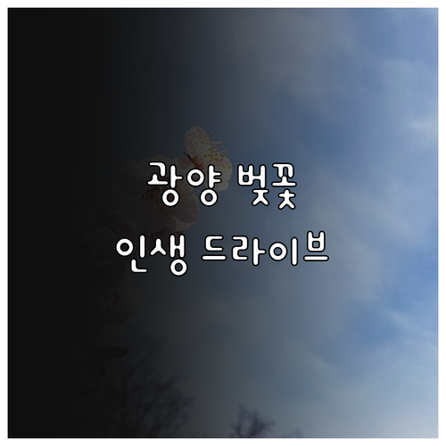 광양 벚꽃 나들이 정보 및 섬진강변 ..
