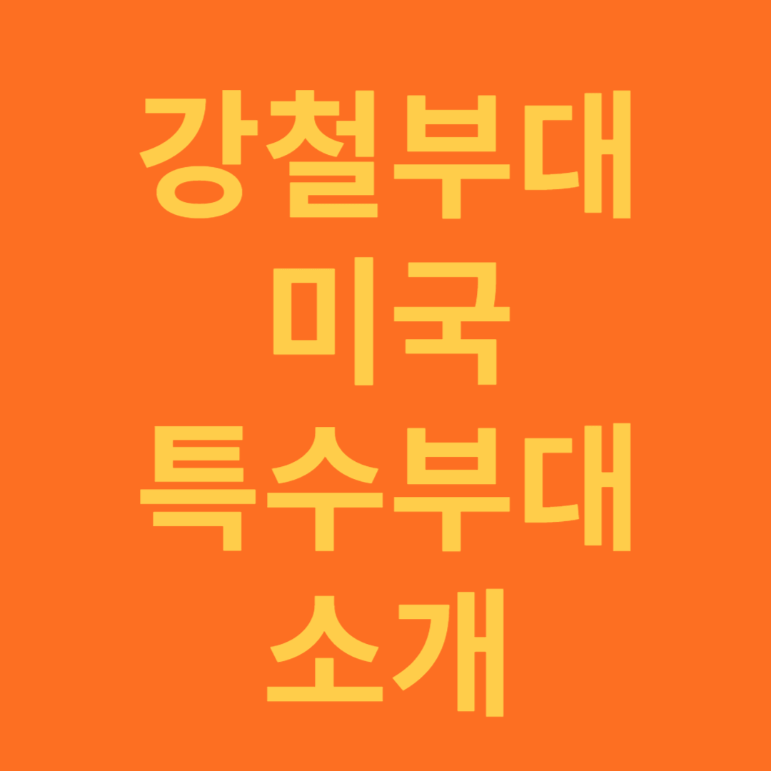 강철부대 미국 특수부대 소개