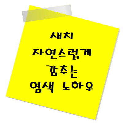 하얘지는 새치, 자연스럽게 감추는 염색 노하우