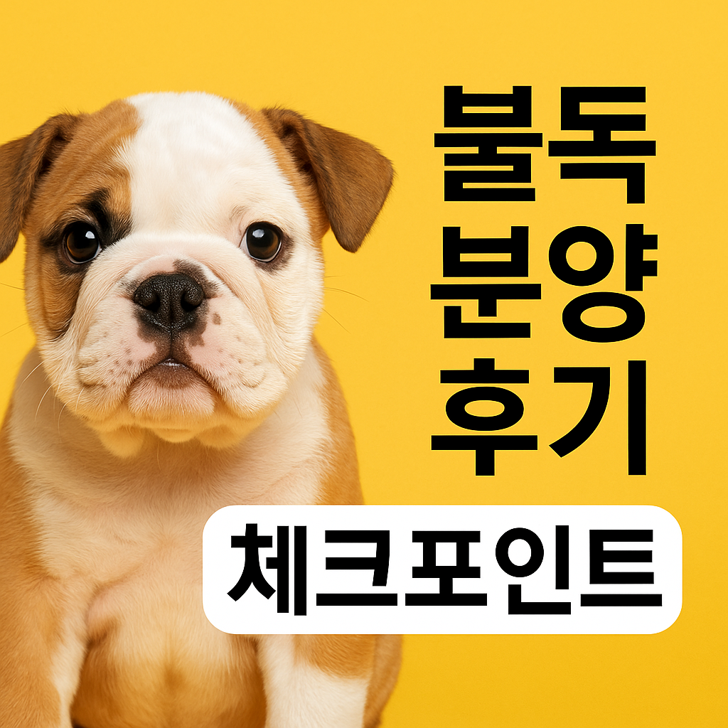 불독 분양