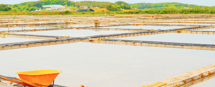 서해랑길89코스