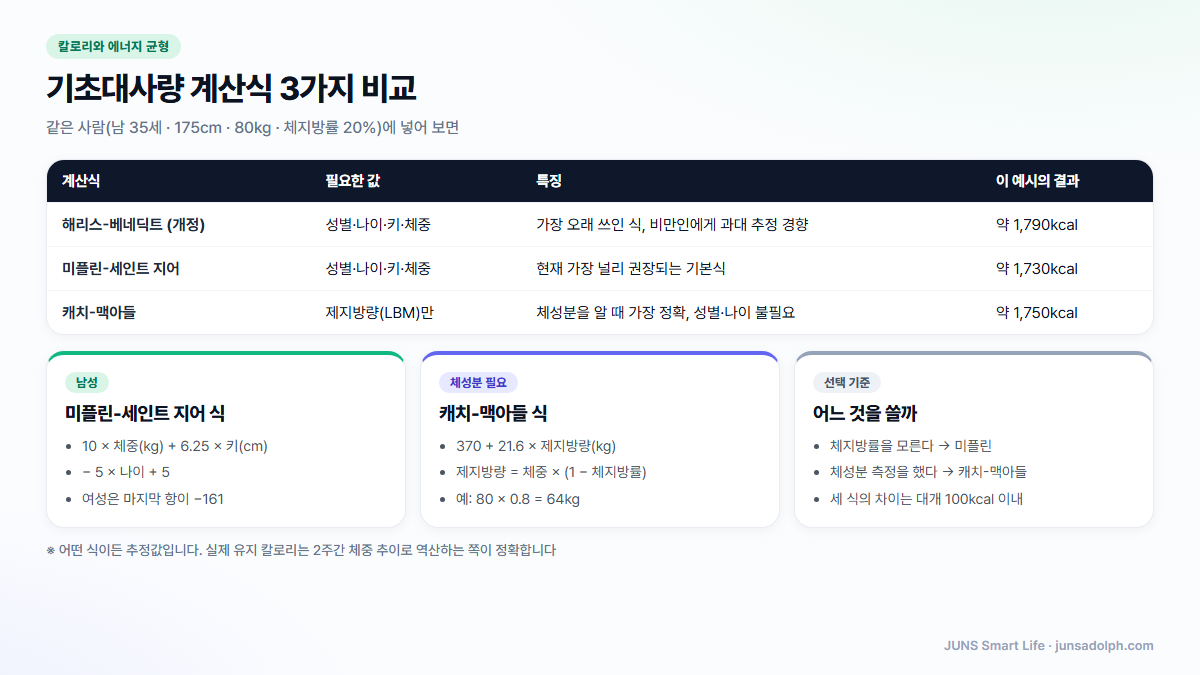 기초대사량 계산식 세 가지 비교 도식