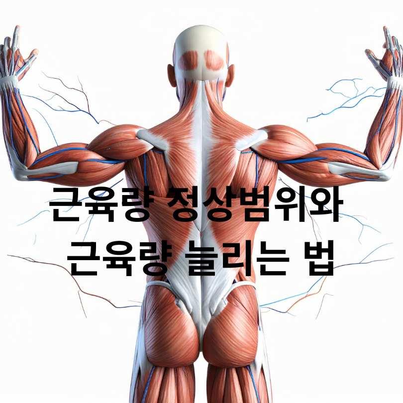 근육량 정상범위와 근육량 늘리는 법