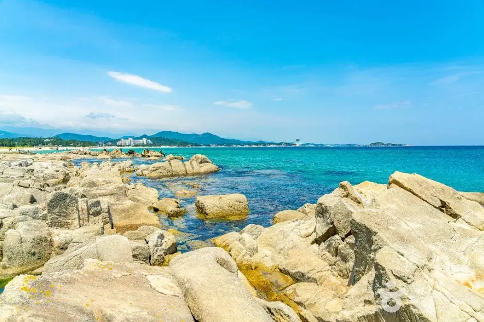 c807315b-38c8-48c7-8cde-a901697cab1d