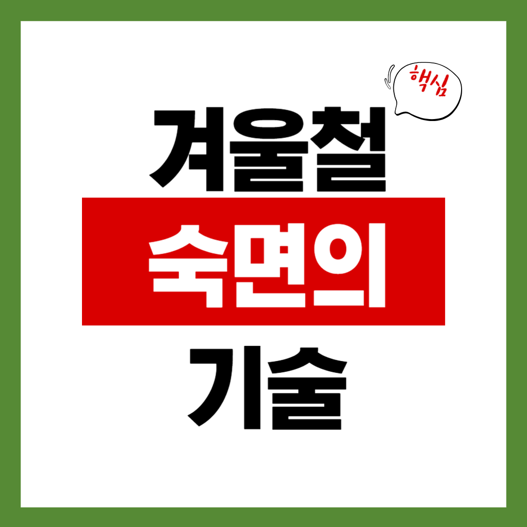 숙면의 기술! 겨울철 베개·이불 고르는 법