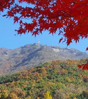 계룡산 동학사1