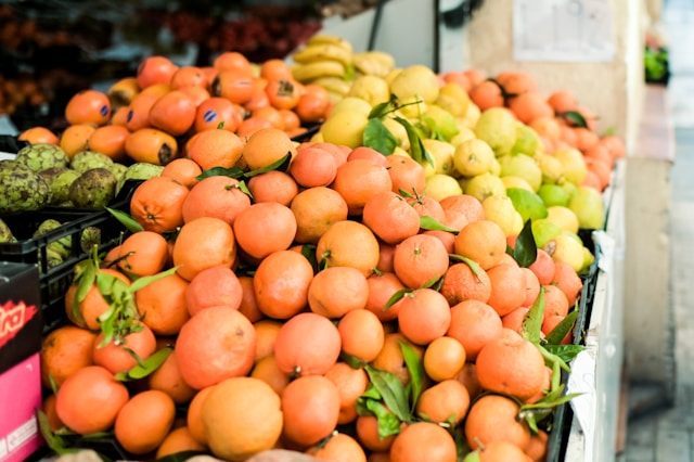황금향 레드향 차이 제철 맛 비교