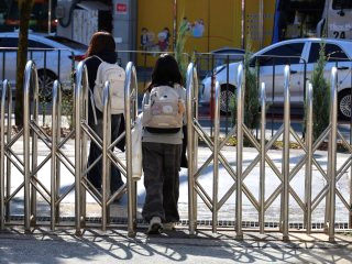 대전 늑대 동물원 오월드 탈출 퓨마 포획 상황