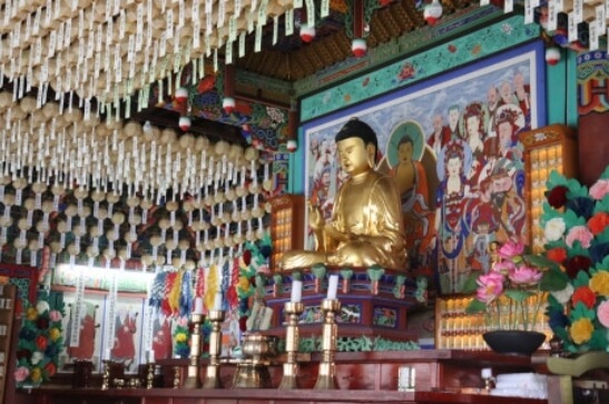 나주 심향사 : 금성산이 품은 천년 가람 영산강과 들녘이 품은 고요한 수행 도량