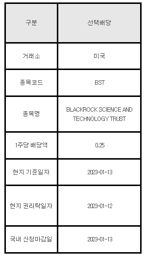 미국주식 선택배당 안내 BST