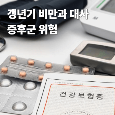 갱년기 비만과 대사증후군 위험|호르몬·심혈관·마음 관리 (2025년 최신)