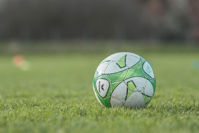 축구경기장에 축구공의 모습