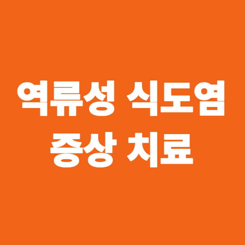 역류성 식도염 증상 치료