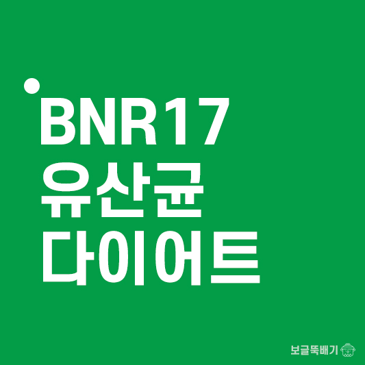 BNR17 유산균