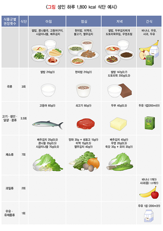 저속노화 식단