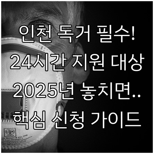 2025년 인천광역시 최중증 독거 장..