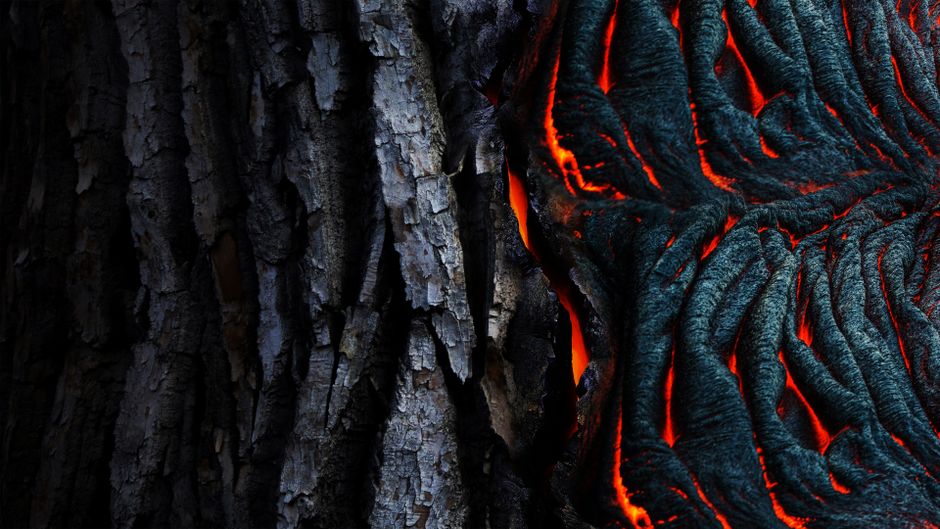 Vivid abstract of glowing lava texture against dark tree bark. Perfect for nature-themed designs.
