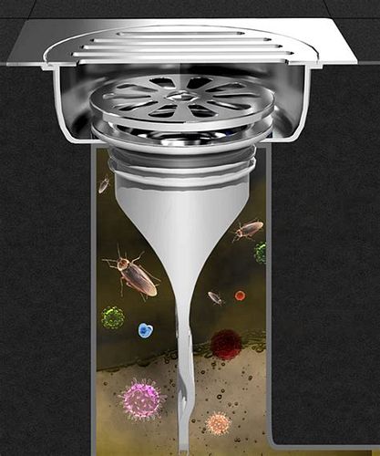 화장실 벌레 퇴치 방법