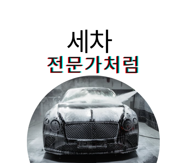 실패없는 세차 꿀팁 총정리
