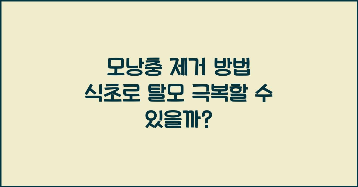 모낭충 제거 방법 식초