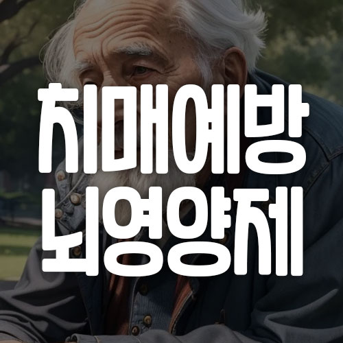 치매예방 뇌 영양제