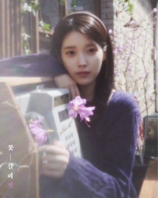꽃갈피 셋