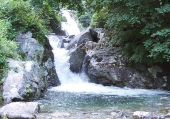 2024 가평 아침고요수목원 수국축제 기간 입장료 가는길