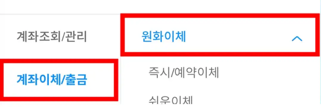 원화이체