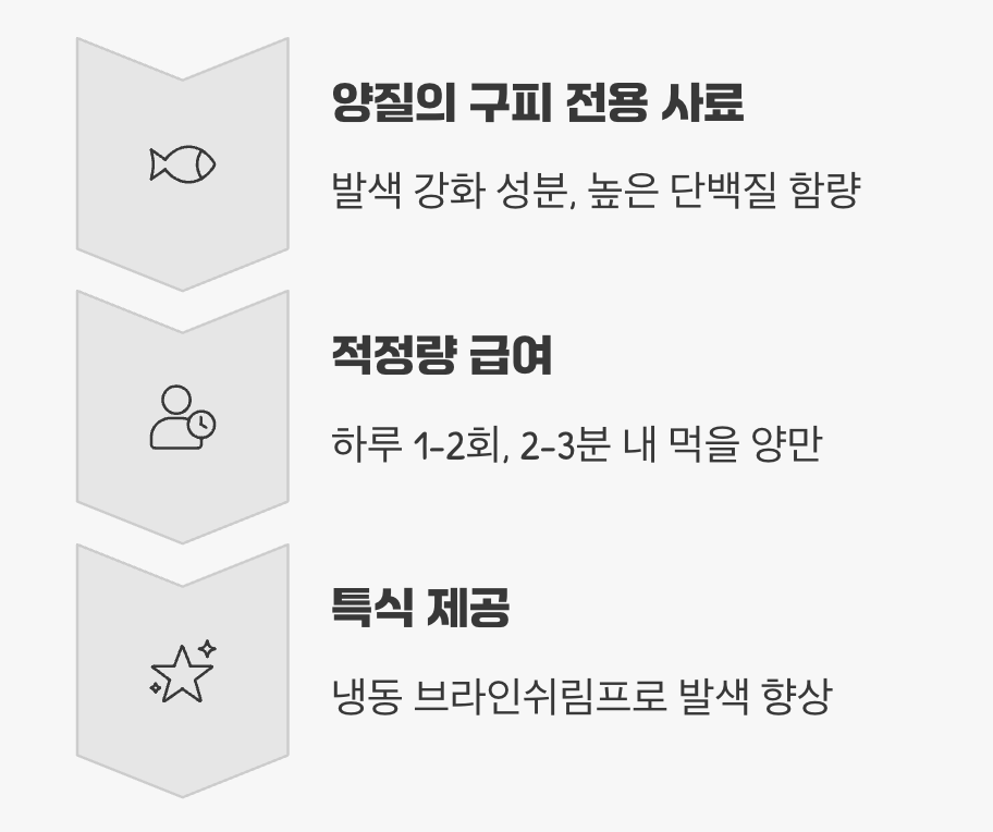 영양 만점 식단, '발색'의 비밀