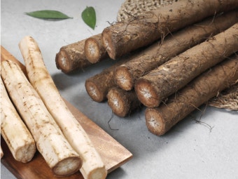 12월 제철음식 우엉